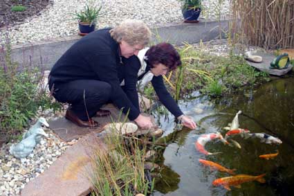 Das zweite Hobby der Koiteich